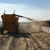 7830-TD Round Bale Processor - Image 4